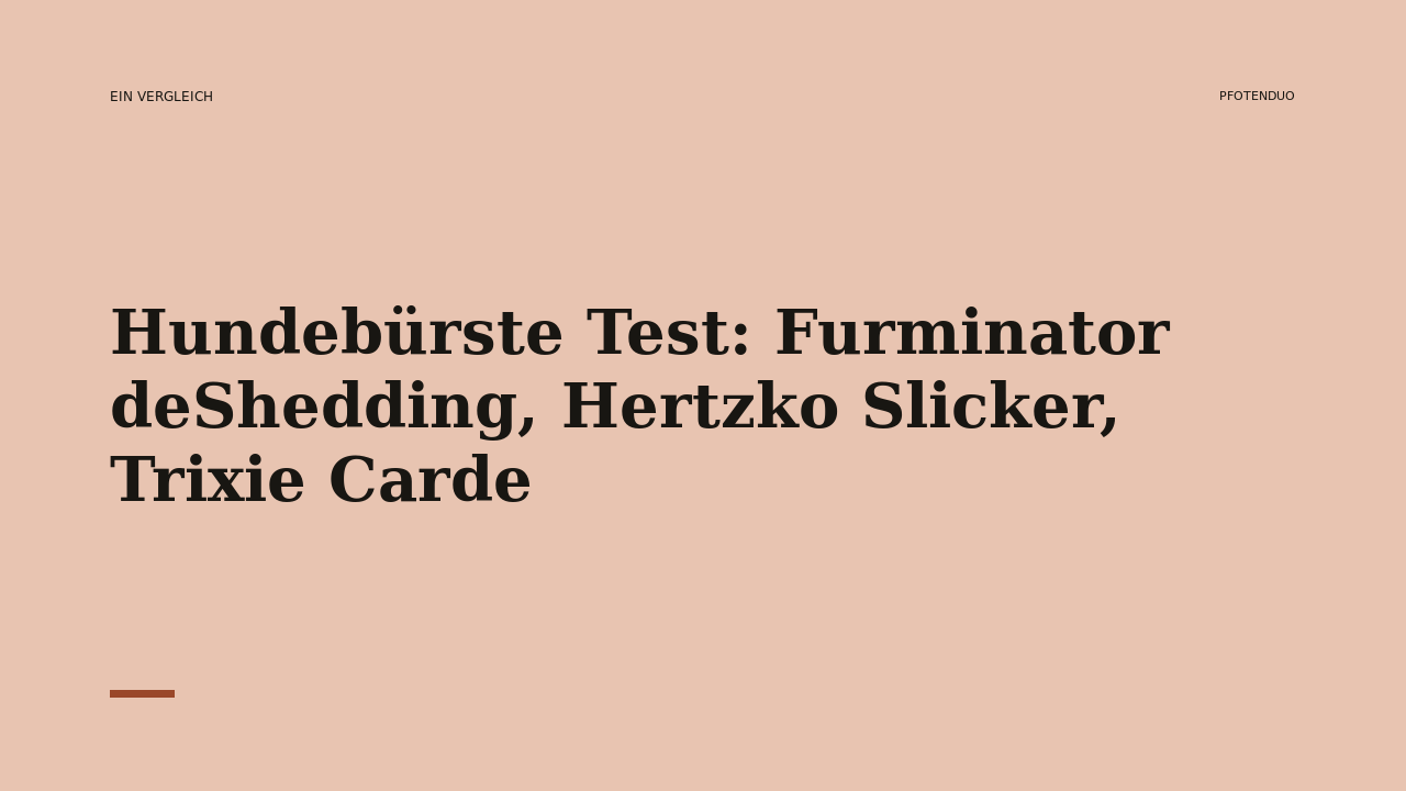 Read more about the article Hundebürste Test: Furminator deShedding, Hertzko Slicker, Trixie Carde