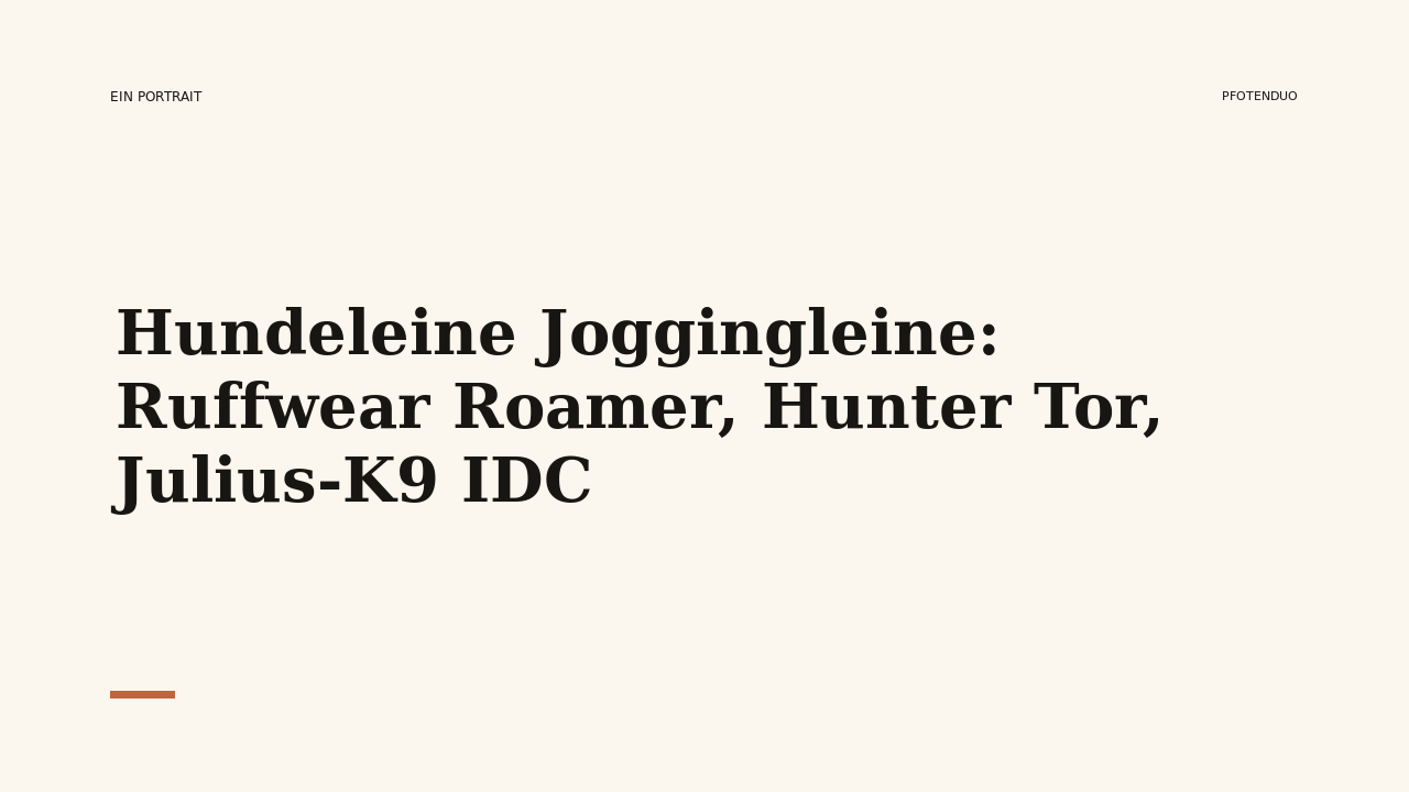 Read more about the article Hundeleine Joggingleine: Ruffwear Roamer, Hunter Tor, Julius-K9 IDC