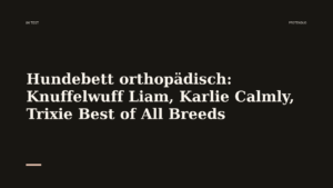 Mehr über den Artikel erfahren Hundebett orthopädisch: Knuffelwuff Liam, Karlie Calmly, Trixie Best of All Breeds