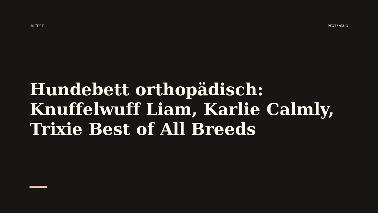 Read more about the article Hundebett orthopädisch: Knuffelwuff Liam, Karlie Calmly, Trixie Best of All Breeds